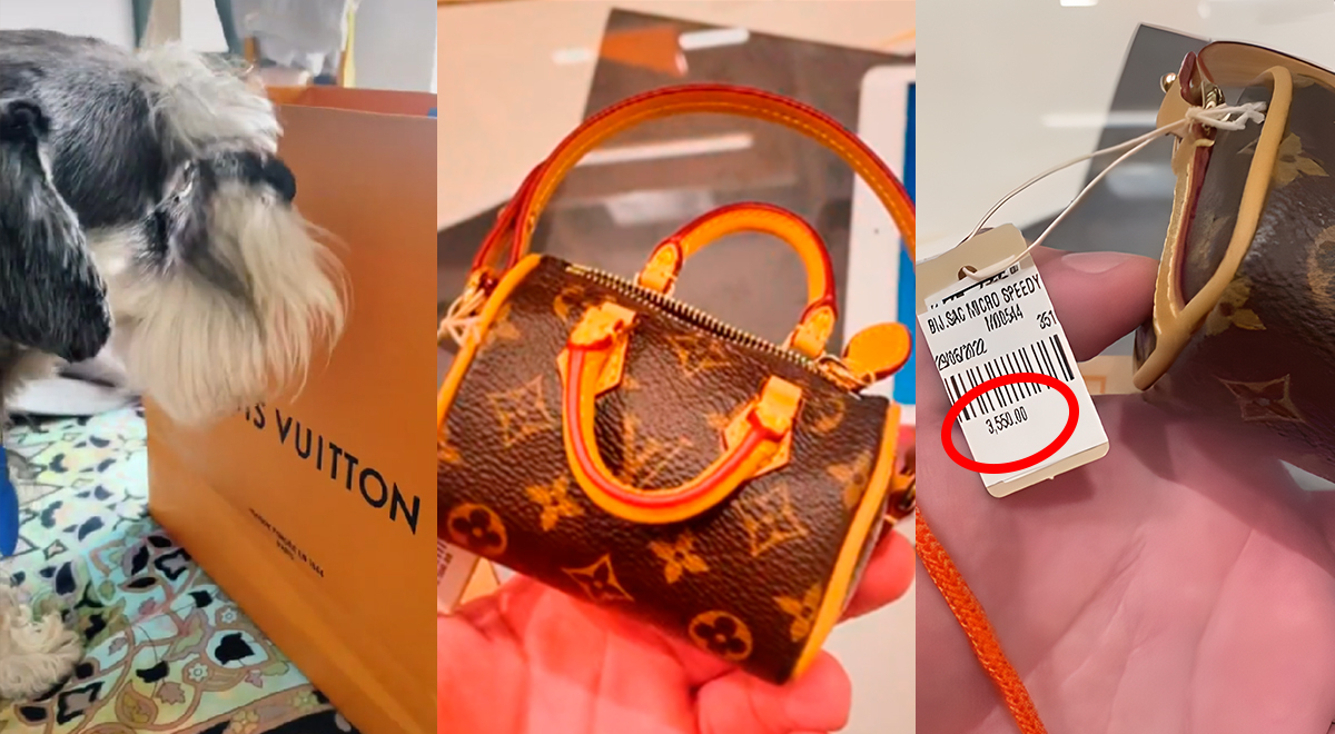 Louis Vuitton tiene un bolso de 900 euros para recoger las cacas de perro